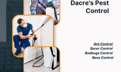 Dacres Pest Control : Solutions for a Safer Home