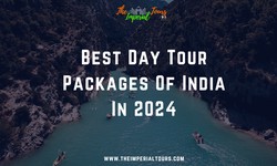 Best Day Tour Packages Of India In 2024