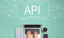 What is Netsuite API