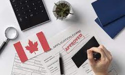 How to Apply for Express Entry with an Ontario Immigration Lawyer