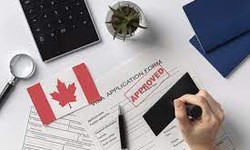 Mississauga Immigration Lawyers' Guide to Family Sponsorship: Tips and Strategies