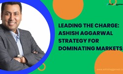 Leading the Charge: Ashish Aggarwal Strategy for Dominating Markets