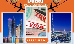 2 Years Freelance Visa in Dubai  +971568201581