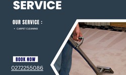 Carpet Cleaning Elizabeth Bay: Ensuring Clean and Healthy Living Spaces