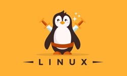 Dive into The Linux Online Training in Pune | WebAsha Technologies