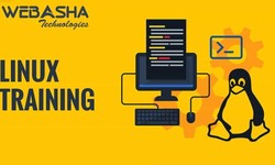 Take Your Pick Towards The Linux Classes in Pune