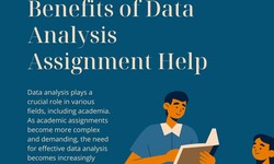 What are the Benefits of Data Analysis Assignment Help?
