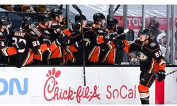 Anaheim Ducks Glide Towards Victory: New Strategies, Same Winning Spirit
