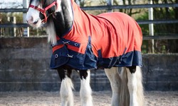 Can a Lightweight Turnout Rug Provide Sufficient Warmth and Protection for Horses During Mild Weather Conditions?