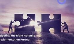 How to Choose the Right Business Management Software | NetSuite Partners in India