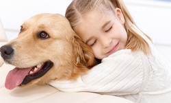 Unlocking the Magic of Canine Companionship Discovering the Best Dogs for Kids