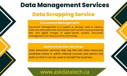 Data Entry, Data Management Services, Lead Generation & Email Database Creating