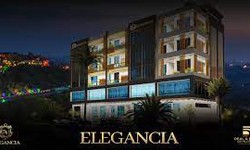 Elegancia's Shopping Splendor: A Unique Retail Experience