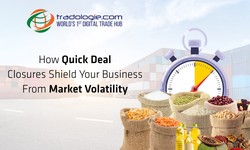 How Quick Deal Closures Shield Your Business From Market Volatility