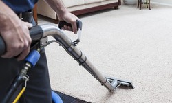 Tips and Tricks for Maintaining Your Carpet and Extending Its Lifespan in Washington DC