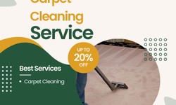 Carpet Cleaning Gymea: Ensuring a Healthy and Fresh Home Environment