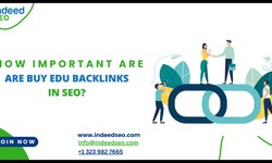 How important are Buy Edu Backlinks in SEO? Explore the Strategies and Tactics.