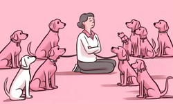 Positive Reinforcement Techniques: Building a Strong Bond through Dog Training