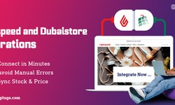 Lightspeed XSeries DubaiStore integration - keep stock and price up to date