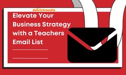 Elevate Your Business Strategy with a Teachers Email List