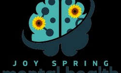 Nurturing Mental Well-Being with Joy Spring Mental Health Services: A Holistic Approach to Women's Mental Health