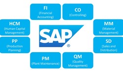 SAP Business Technology Platform (BTP) Architecture