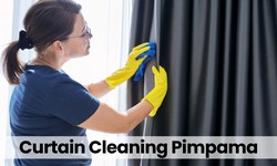 Carpet Cleaning Solutions for Pimpama
