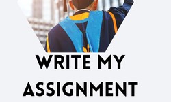The Write My Assignment Guide