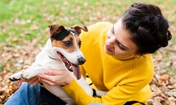 What are the Right Eye Drops for Your Dog's Eye Health