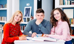 Exploring Global Education: Study Abroad Consultants in Faridabad
