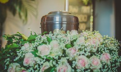 The Evolution of Cremation Services - A Modern Perspective