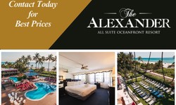 Things to do at The Alexander - Among the top hotels in Miami