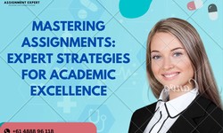 Mastering Assignments: Expert Strategies for Academic Excellence