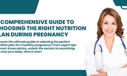 A Comprehensive Guide to Choosing the Right Nutrition Plan During Pregnancy