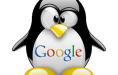Revitalize Your Website: Navigating Google Penguin Recovery with Expert Services