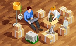 The Amazing Tips for Choosing the Right Moving Company for Valuable Goods