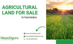 Agriculture Land For Sale in Hosur - Elements of Technological Advancements in Hosachiguru