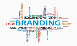 "Building Your Brand Identity: The Power of Branding with Technothinksup Solutions"