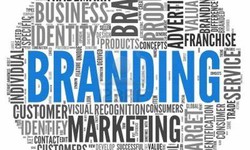 "Building a Lasting Impression: Branding by Technothinksup Solutions"