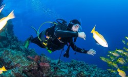 Dive Deep or Return Home: Mallorca's Most Outrageous Diving Difficulties!