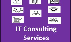 "Empowering Your Business with Expert IT Consultation Services"