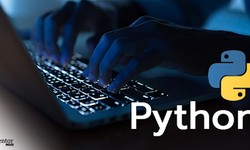 Python Development Trends in 2024