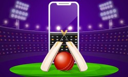 Crafting Your Digital Cricket Persona: Selecting the Optimal Online Cricket ID Service