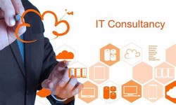 "Empowering Your Business with Comprehensive IT Consultation Services from Technothinksup Solutions"