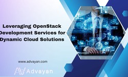 Leveraging OpenStack Development Services for Dynamic Cloud Solutions