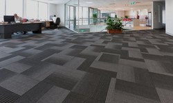 Why Carpet Suppliers In Auckland Are Essential For Your Next Projects