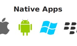 "Elevate Your iOS Experience: Native iOS App Development by  Technothinksup Solutions"
