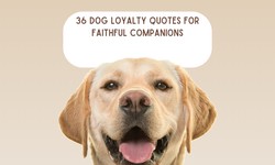 36 Dog Loyalty Quotes for Faithful Companions