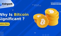 Why Is Bitcoin Significant?