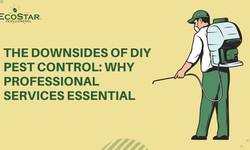 The Downsides of DIY Pest Control: Why Professional Services Essential